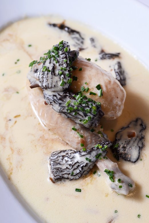 Plat de volaille de Bresse aux morilles, servi dans une sauce crémeuse au Restaurant Fond Rose à Lyon.